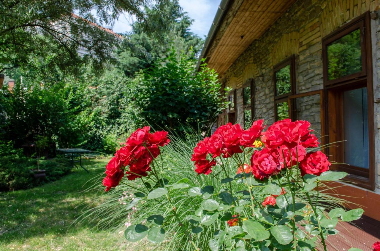 Kohaz Apartman Appartement Veszprém Buitenkant foto